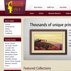 web project
