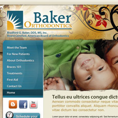 web project