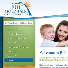 web project