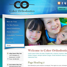 web project