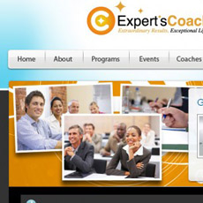 web project