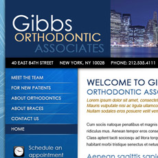 web project