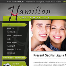 web project