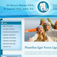 web project