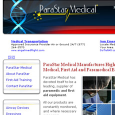 web project