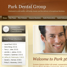 web project