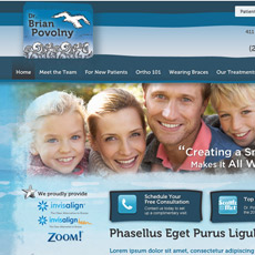 web project