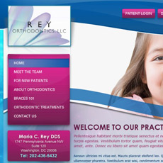 web project