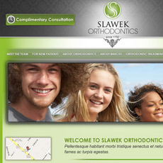 web project