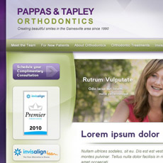 web project