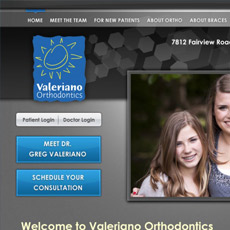 web project