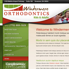 web project